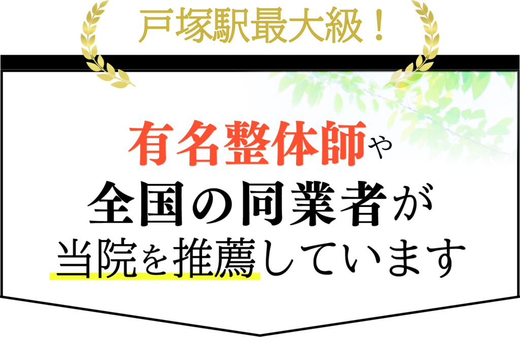 戸塚駅最大級!有名整体師や全国の同業者が当院を推薦しています。