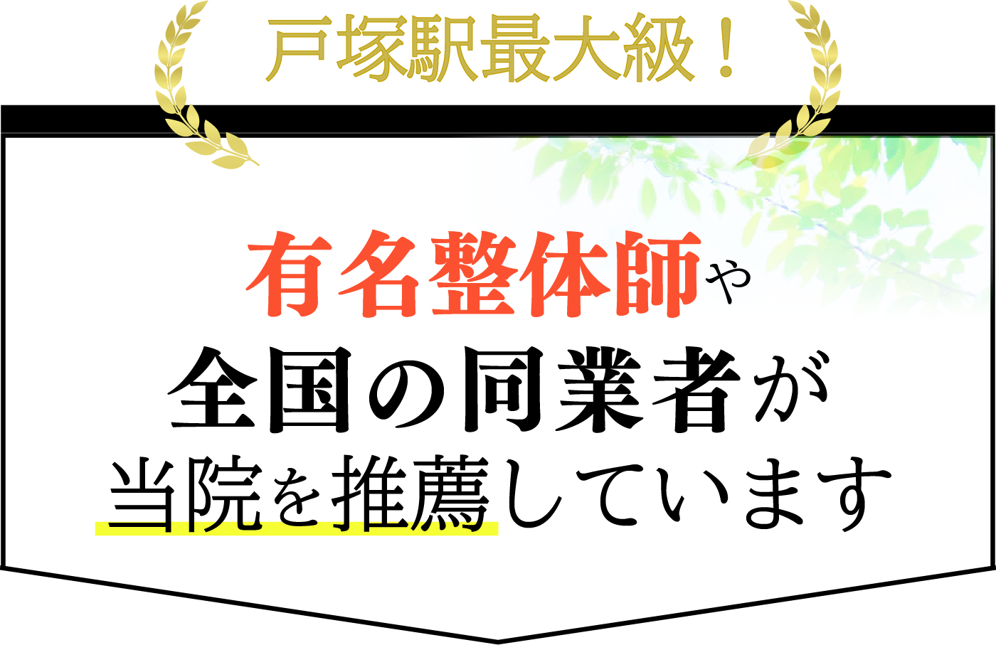 戸塚駅最大級!有名整体師や全国の同業者が当院を推薦しています。